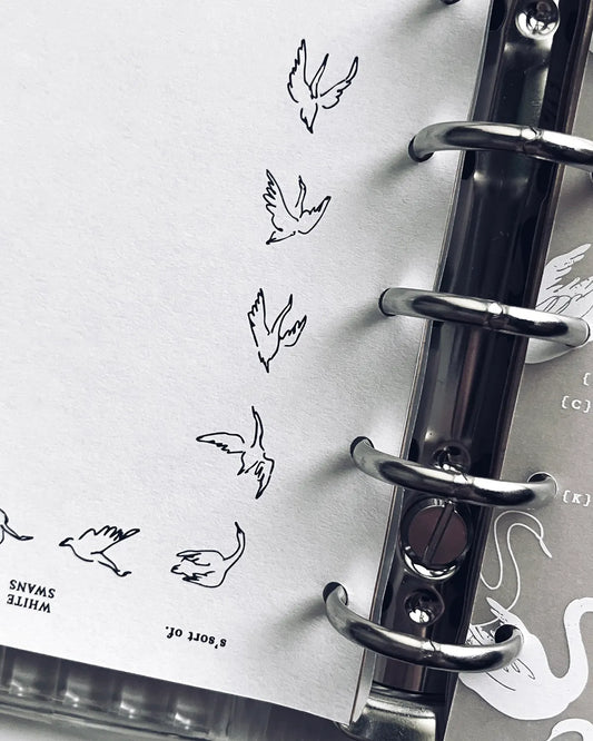 Somesortof.fern M5 and M6 Paper Refill - Flight Lines