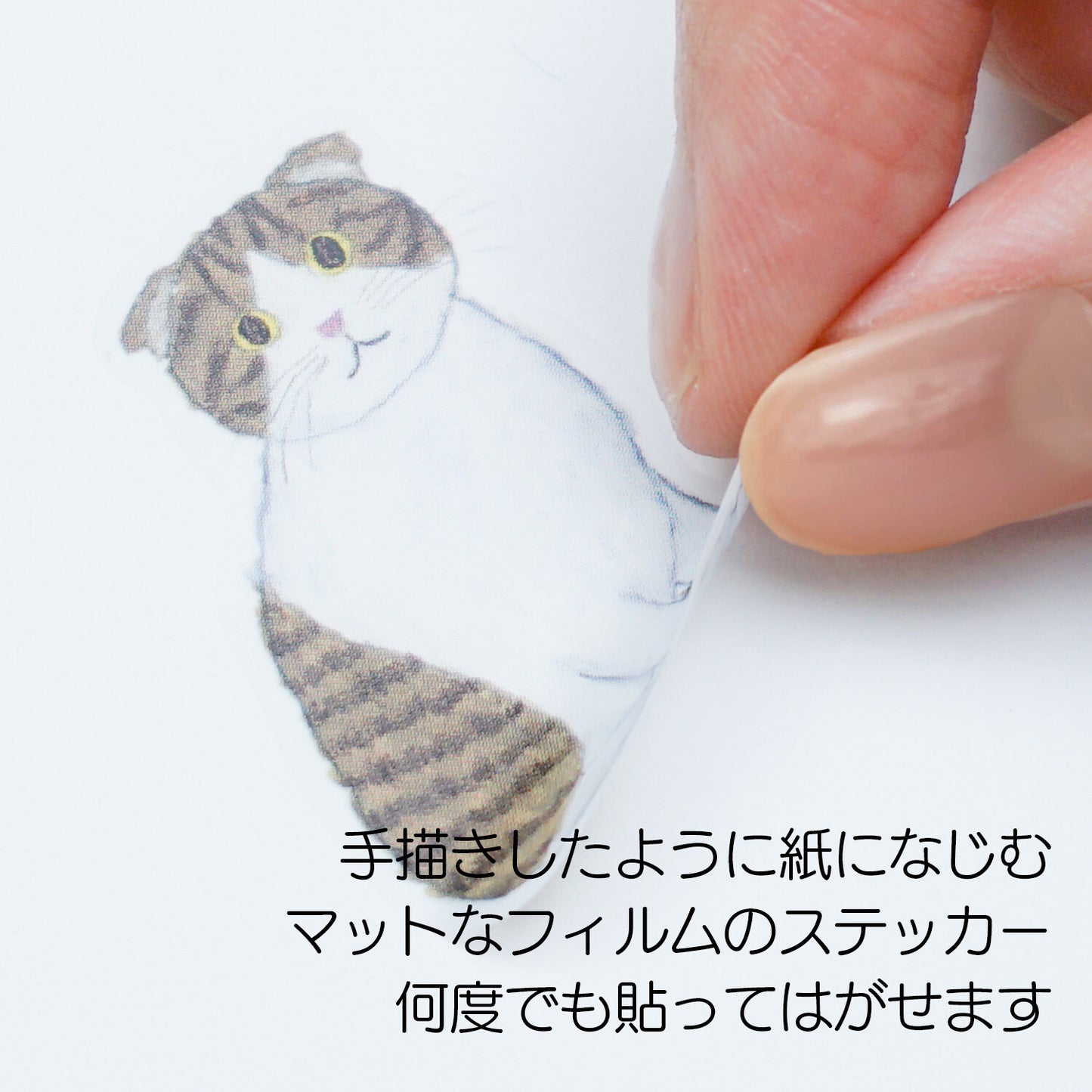 Greeting Life Inc. Yusuke Yonezo Cats Film Sticker Sheet