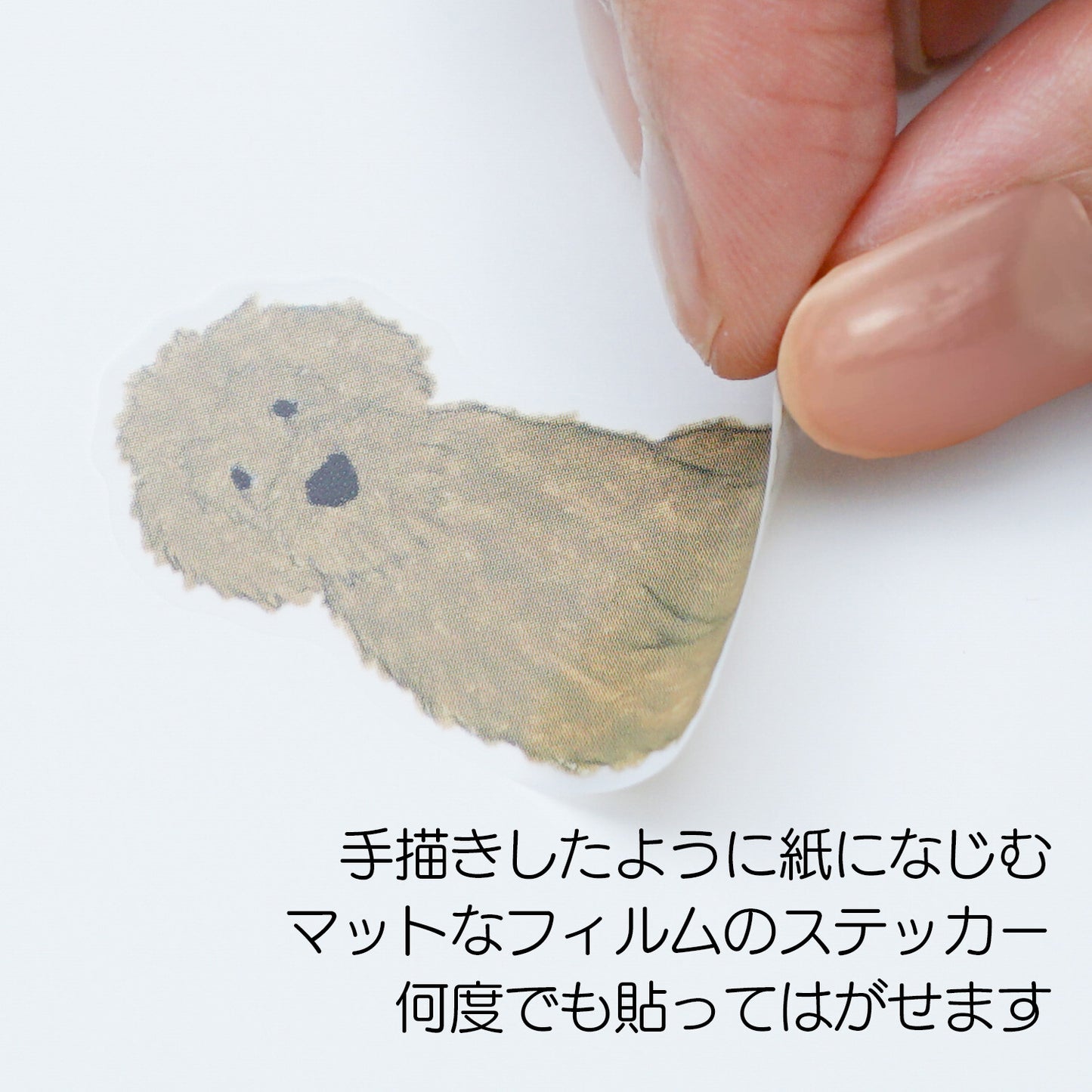 Greeting Life Inc. Yusuke Yonezo Dogs Film Sticker Sheet