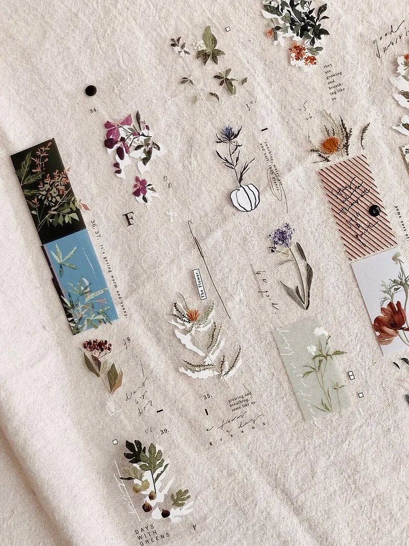 Somesortof.fern PET Tape - Days with Flowers
