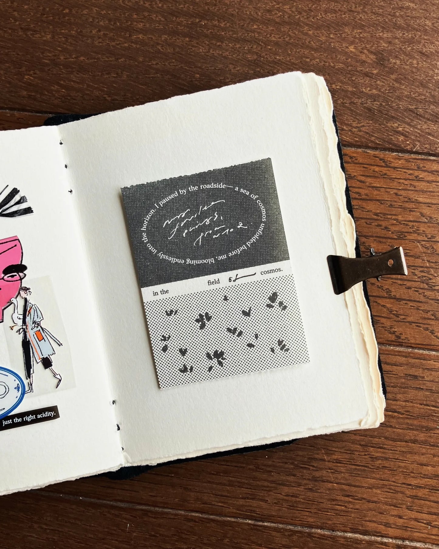 Somesortof.fern Label Book - Cosmos Field