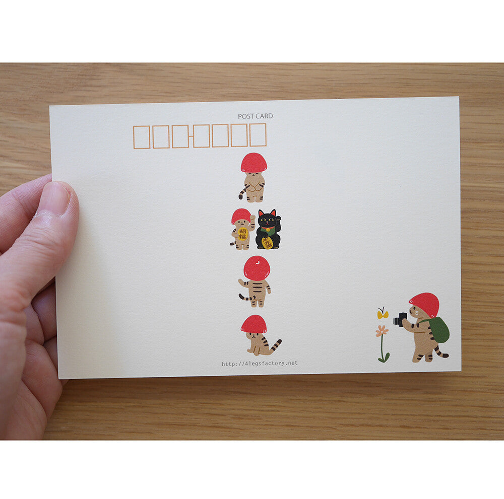 4legs Mushroom Cat Postcard