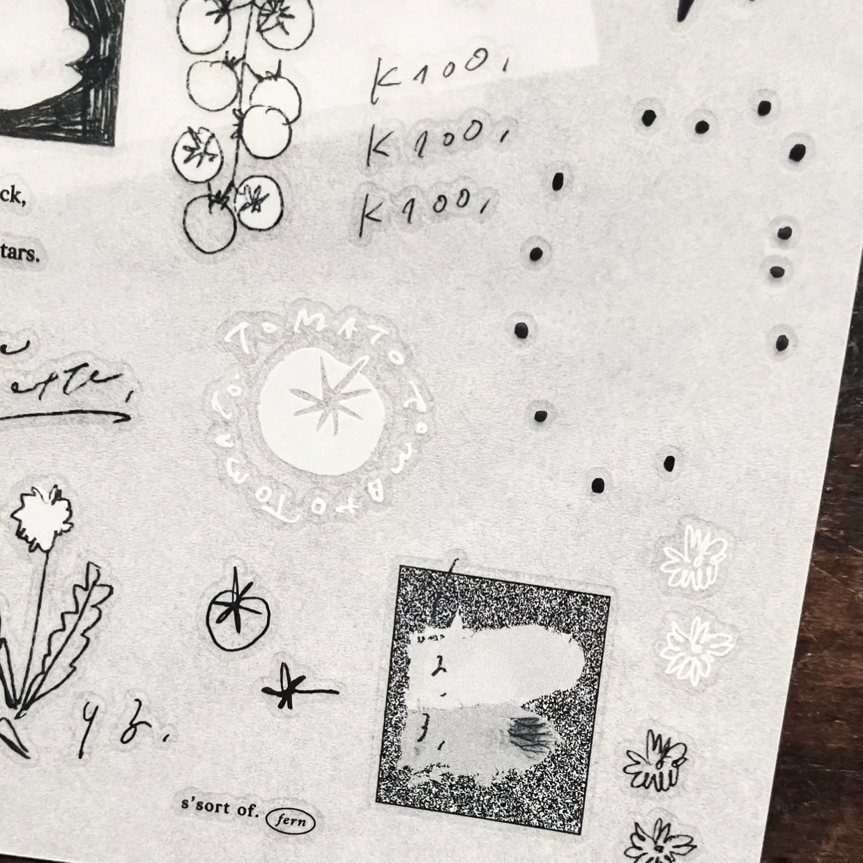 Somesortof.fern Print-on Stickers - Uncolored Things