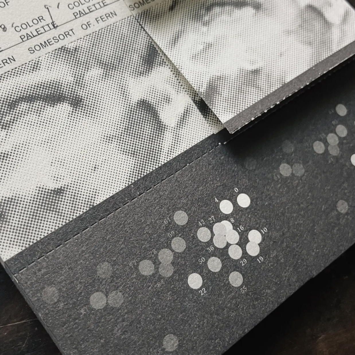 Somesortof.fern Label Book - K100