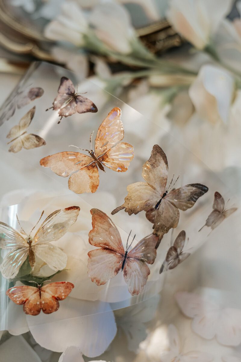 Meow Illustration PET Tape - Beautiful Butterflies with Iridescent Ink