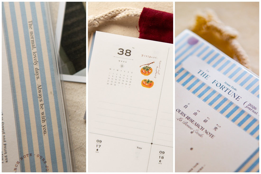 OURS Studio 2026 Research Project Journal - The Fortune