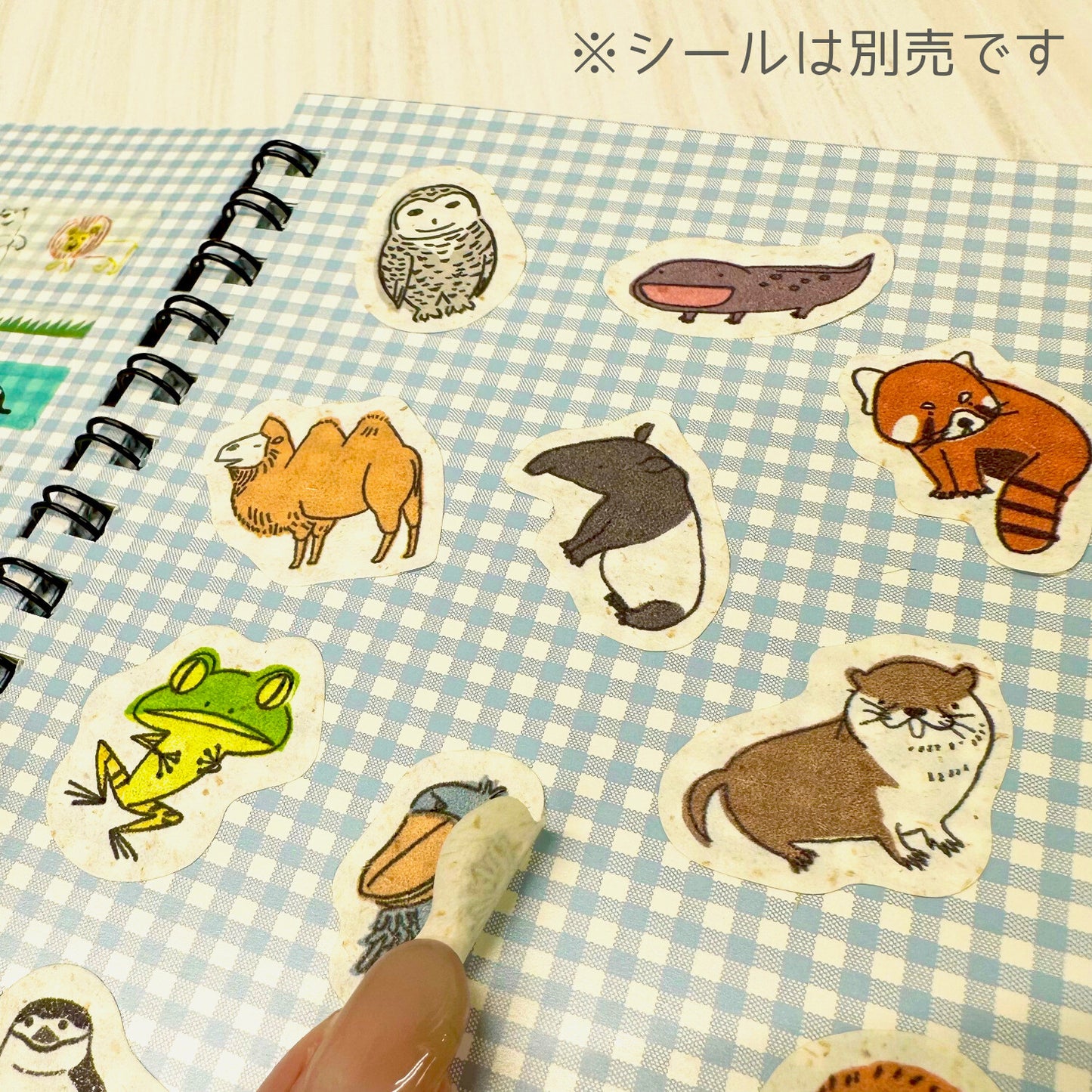 SHINZI KATOH Reusable Sticker Book - Night on the Galactic Railroad