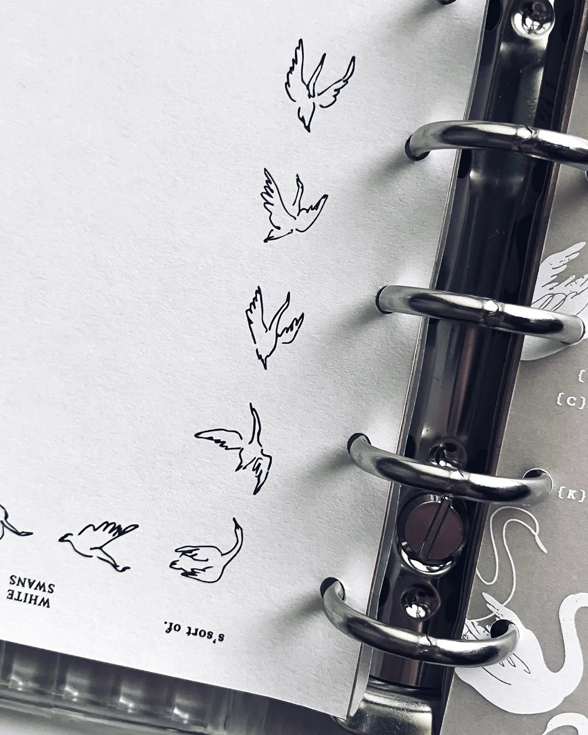 Somesortof.fern M5 and M6 Paper Refill - Flight Lines