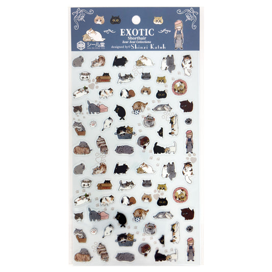SHINZI KATOH Sticker Sheet - Exotic Shorthair Cats