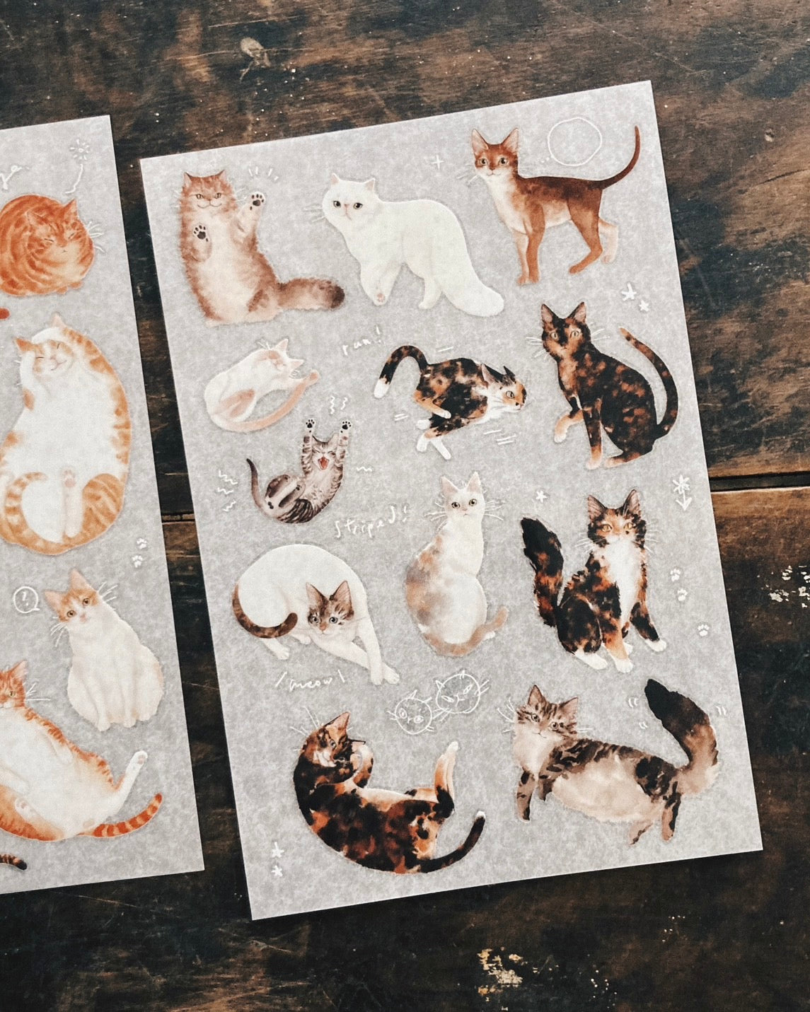 Somesortof.fern Print-on Stickers - Orange Cats