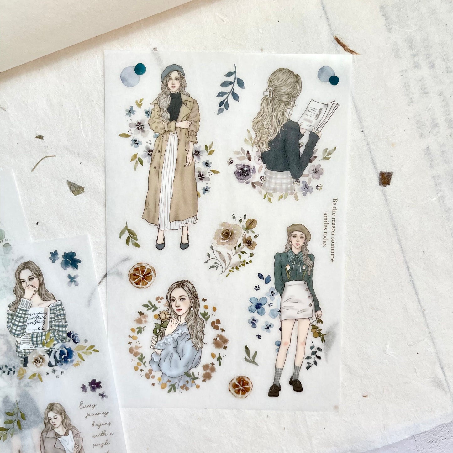 Pion Transfer Stickers - Elegant