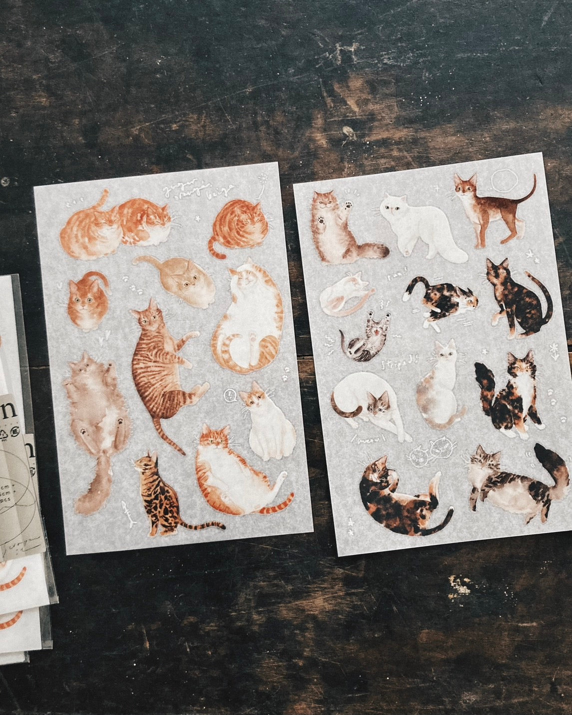 Somesortof.fern Print-on Stickers - Orange Cats