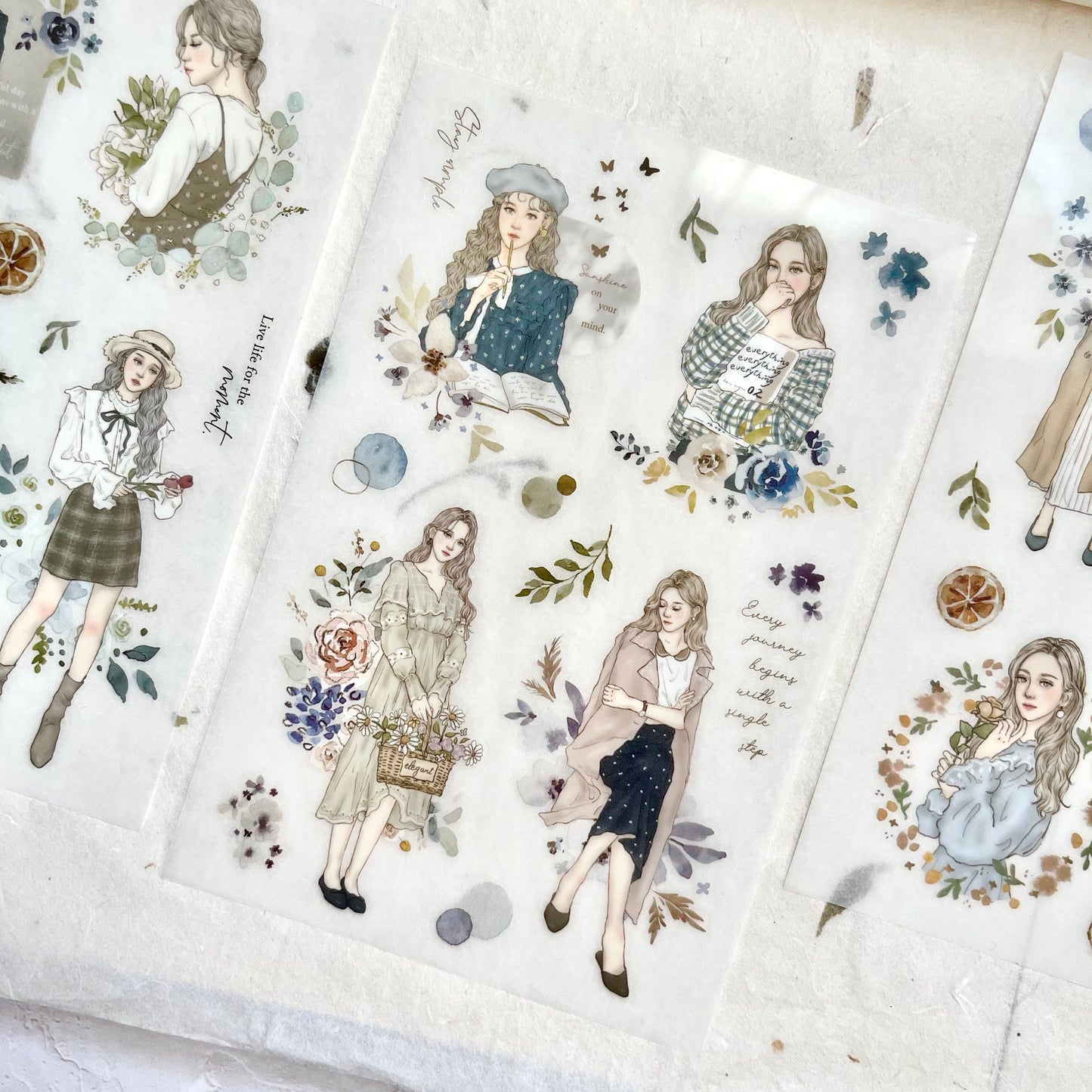 Pion Transfer Stickers - Elegant