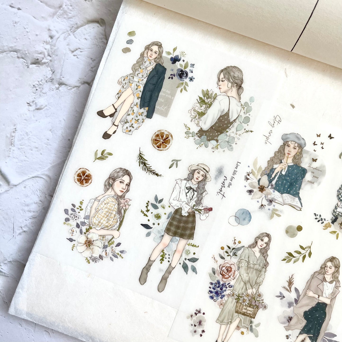Pion Transfer Stickers - Elegant
