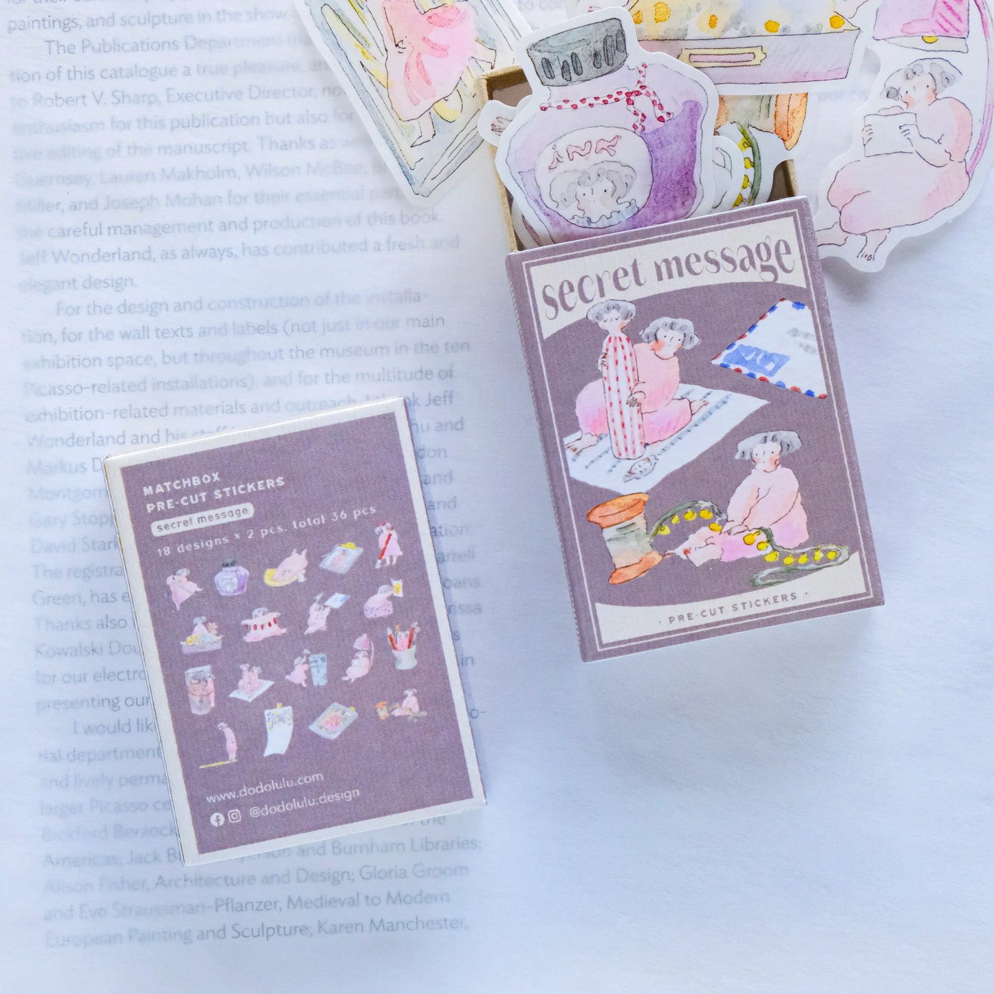 dodolulu Matchbox Sticker Flake Set - Secret Message