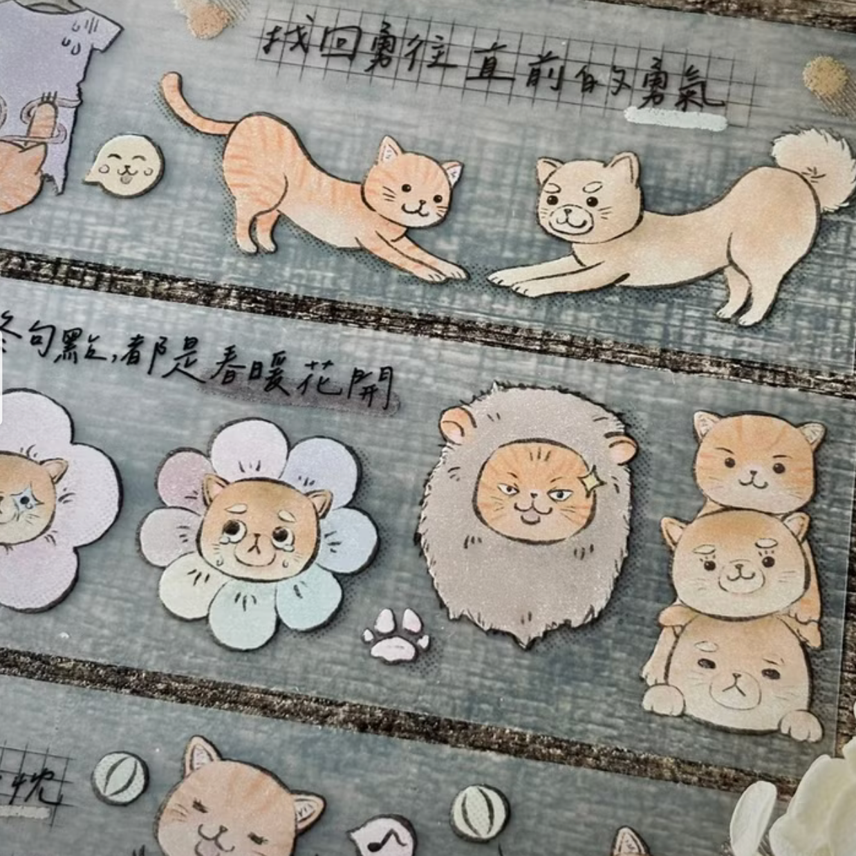 A Great Idea PET Tape - Pineapple Bun Shiba Inu and Cat (Loops Only)