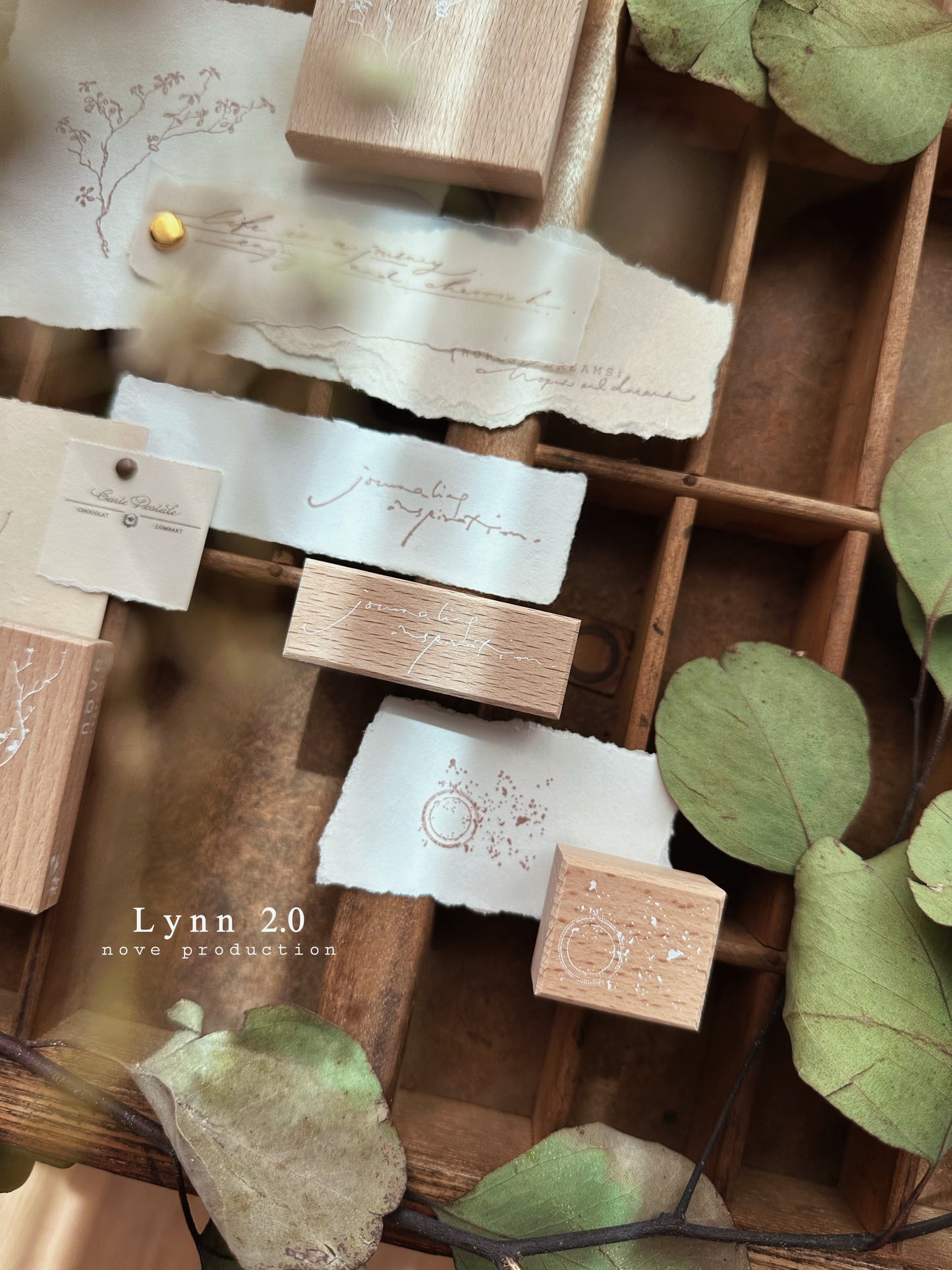 Nove Production Lynn 2.0 Rubber Stamp Collection